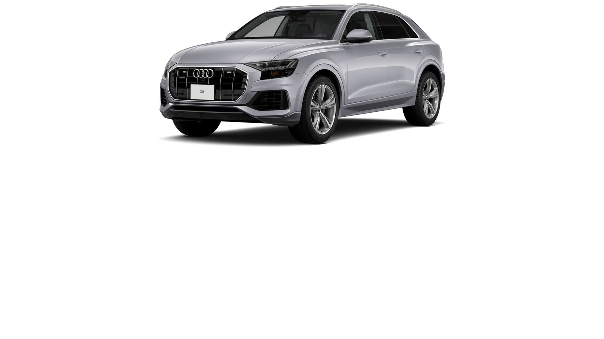 Audi Q8 family.