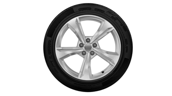 Audi Tires - Q5/SQ5 19" B9 WINTER TIRE PACKAGE