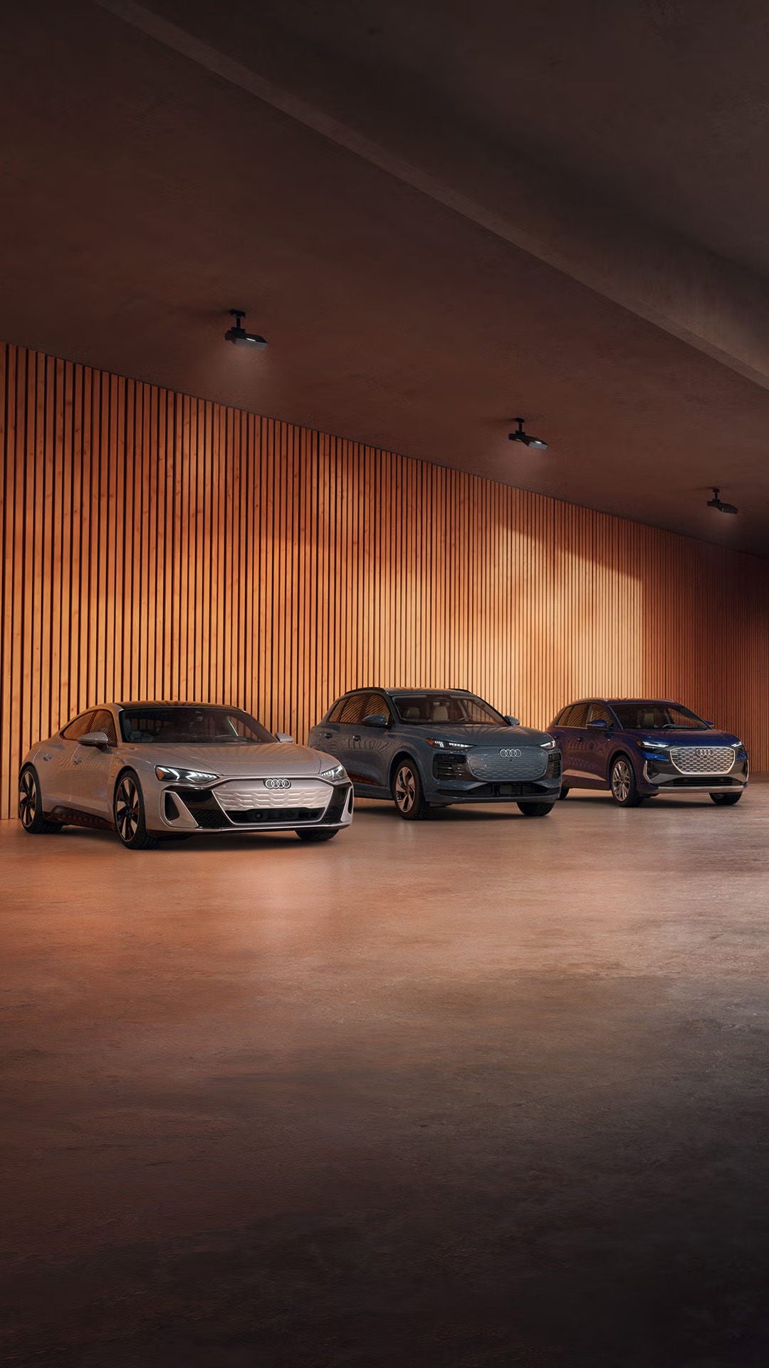 Audi Electric Lineup
