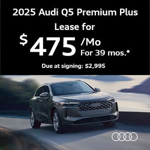 Q5 driving by mountain