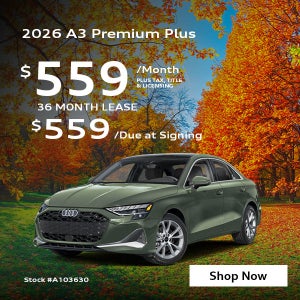 A3