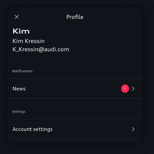 Image of the profile with name, email, notifications, and setting displayed.
