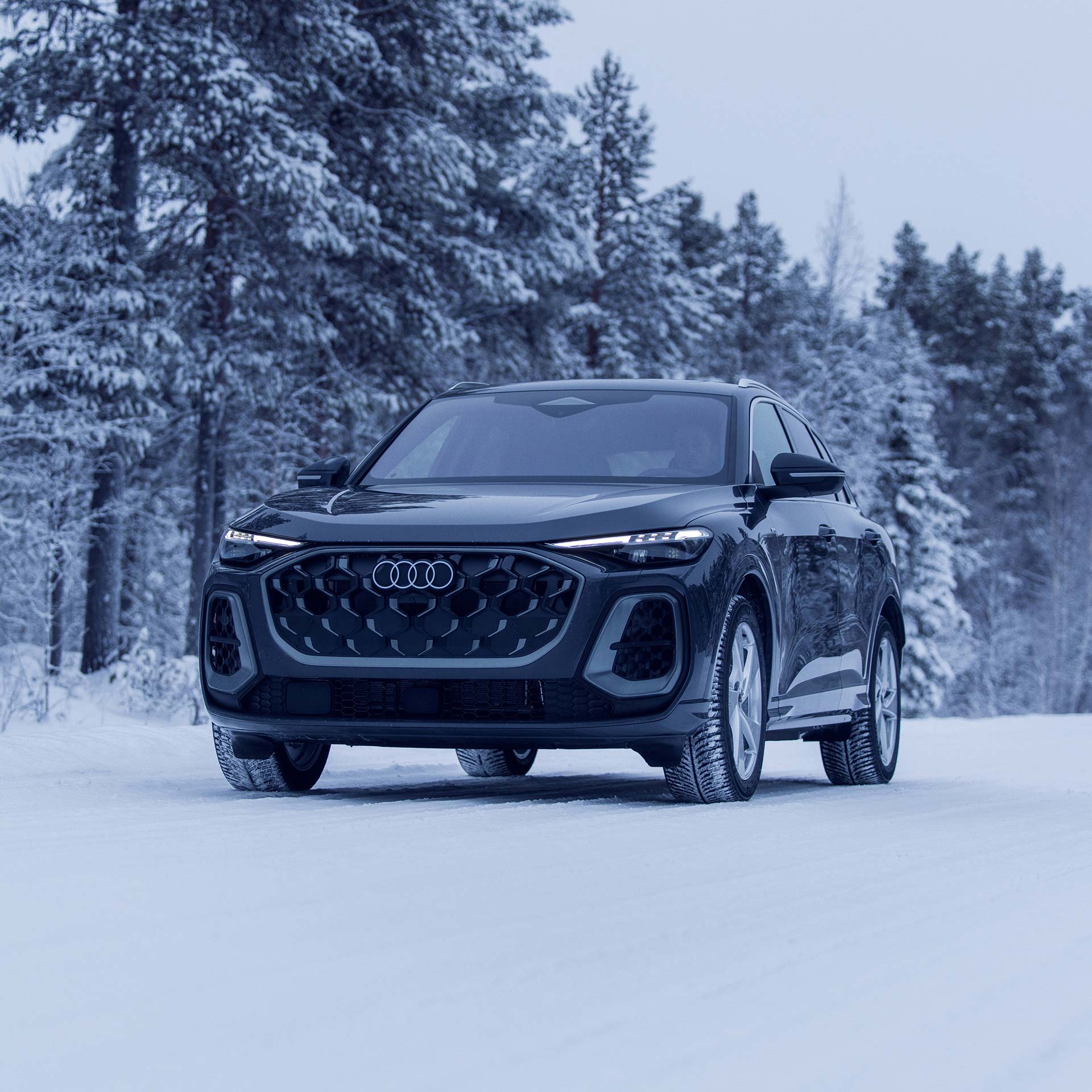 Side profile of an Audi SQ7.