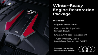 Winter-Ready Engine Restoration Package
