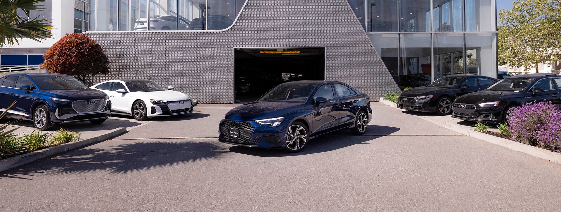 Audi cars in front of audi marin