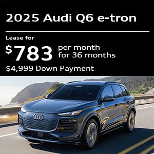 Q6 e-tron Specials