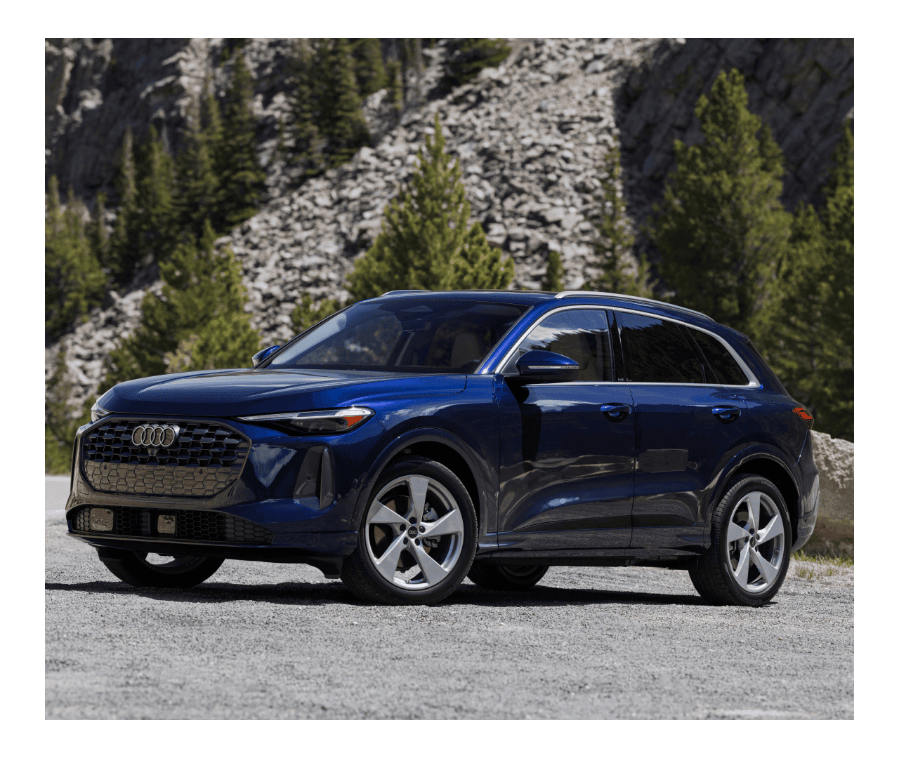 New Audi Vehicle Sparkle in the South Florida Sunshine