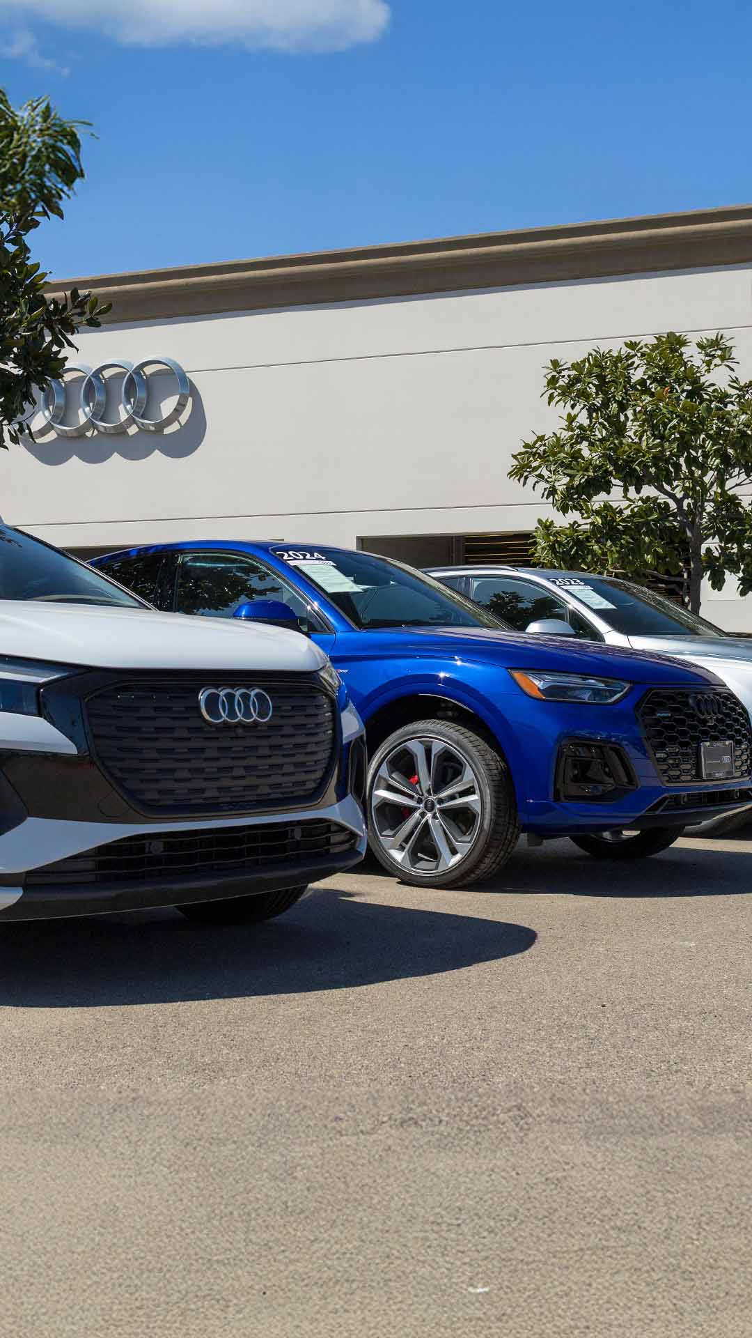 Left profile view of an Audi vehicle.